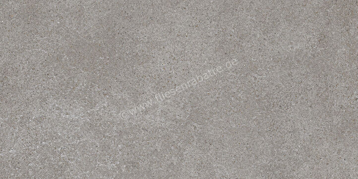 Villeroy & Boch Solid Tones Pure Grey 30x60 cm Wandfliese Matt Eben CeramicPlus 1581 PW62 0 | 473405