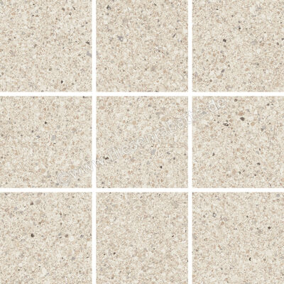 Villeroy & Boch Solid Tones White Grain 30x30 cm Mosaik 10x10 Matt Eben VilbostonePlus 2012 PG00 8 | 473429