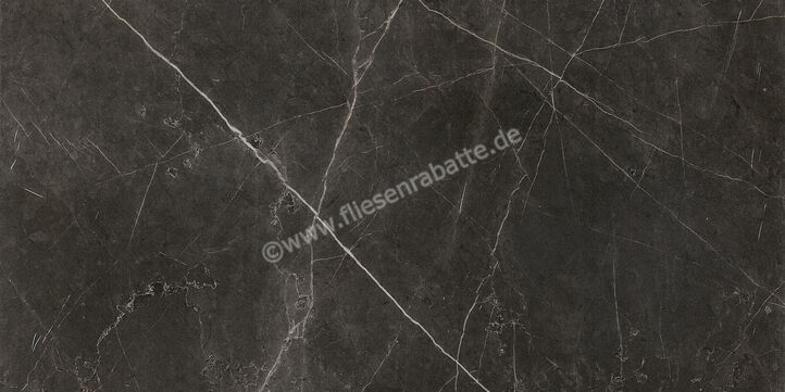  Ceramiche Caesar Marble Inspiration Anima Graphite 60x120 cm Bodenfliese / Wandfliese Matt Eben Touch Plus AIA0 CAE | 474680