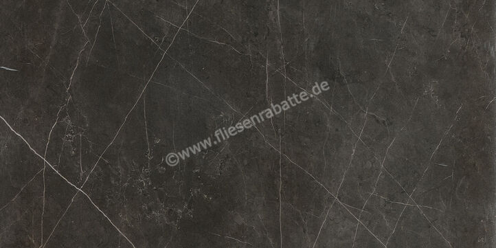  Ceramiche Caesar Marble Inspiration Anima Graphite 60x120 cm Bodenfliese / Wandfliese Matt Eben Touch Plus AIA0 CAE | 474683
