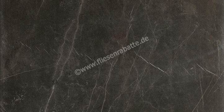  Ceramiche Caesar Marble Inspiration Anima Graphite 60x120 cm Bodenfliese / Wandfliese Matt Eben Touch Plus AIA0 CAE | 474689