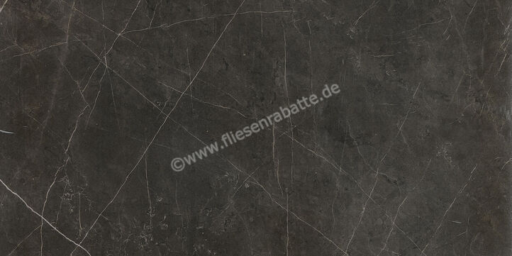  Ceramiche Caesar Marble Inspiration Anima Graphite 60x120 cm Bodenfliese / Wandfliese Glänzend Eben Lucidato ACSQ CAE | 474707