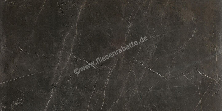  Ceramiche Caesar Marble Inspiration Anima Graphite 60x120 cm Bodenfliese / Wandfliese Glänzend Eben Lucidato ACSQ CAE | 474710
