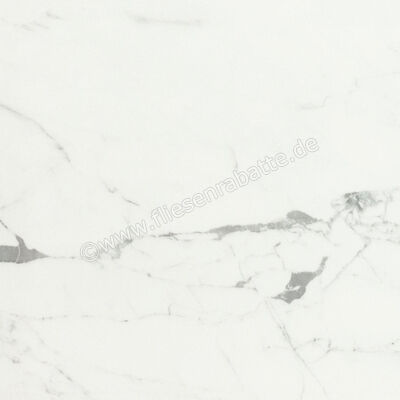  Ceramiche Caesar Marble Inspiration Anima Statuario Venato 60x60 cm Bodenfliese / Wandfliese Matt Eben Touch Plus AIBC CAE | 474737