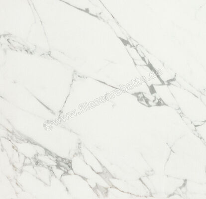  Ceramiche Caesar Marble Inspiration Anima Statuario Venato 60x60 cm Bodenfliese / Wandfliese Matt Eben Touch Plus AIBC CAE | 474743