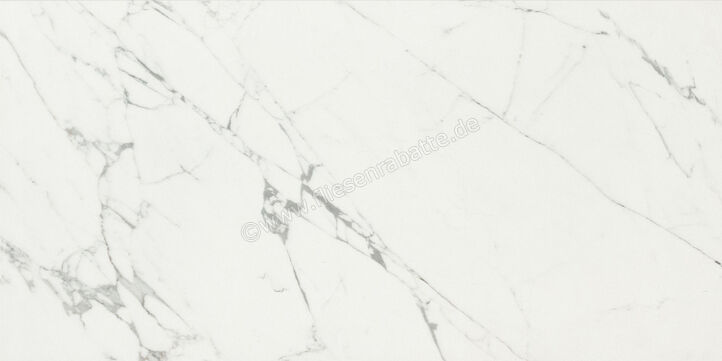  Ceramiche Caesar Marble Inspiration Anima Statuario Venato 60x120 cm Bodenfliese / Wandfliese Matt Eben Touch Plus AIAZ CAE | 474758