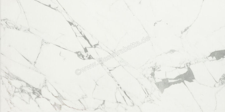  Ceramiche Caesar Marble Inspiration Anima Statuario Venato 60x120 cm Bodenfliese / Wandfliese Matt Eben Touch Plus AIAZ CAE | 474761