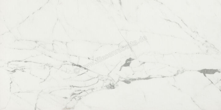  Ceramiche Caesar Marble Inspiration Anima Statuario Venato 60x120 cm Bodenfliese / Wandfliese Matt Eben Touch Plus AIAZ CAE | 474767