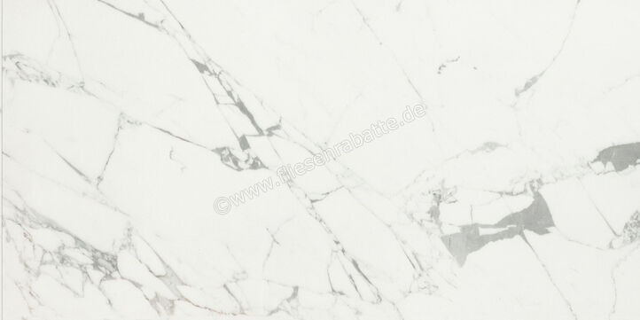  Ceramiche Caesar Marble Inspiration Anima Statuario Venato 60x120 cm Bodenfliese / Wandfliese Glänzend Eben Lucidato ACST CAE | 474797