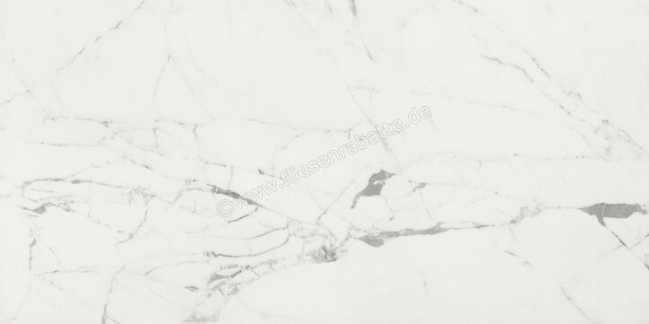  Ceramiche Caesar Marble Inspiration Anima Statuario Venato 60x120 cm Bodenfliese / Wandfliese Glänzend Eben Lucidato ACST CAE | 474803