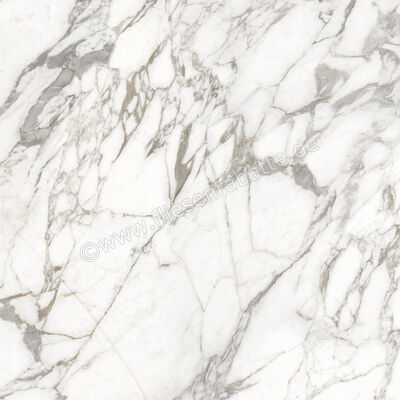 Ceramiche Caesar Marble Inspiration Anima Ever Luxury Arabesque 120x120 cm Bodenfliese / Wandfliese Glänzend Eben Lucidato AFBH CAE | 474908