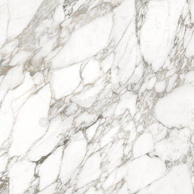  Ceramiche Caesar Marble Inspiration Anima Ever Luxury Arabesque 120x120 cm Bodenfliese / Wandfliese Glänzend Eben Lucidato AFBH CAE | 474920