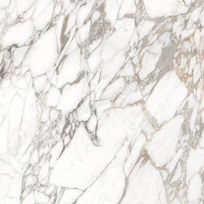  Ceramiche Caesar Marble Inspiration Anima Ever Luxury Arabesque 120x120 cm Bodenfliese / Wandfliese Glänzend Eben Lucidato AFBH CAE | 474923