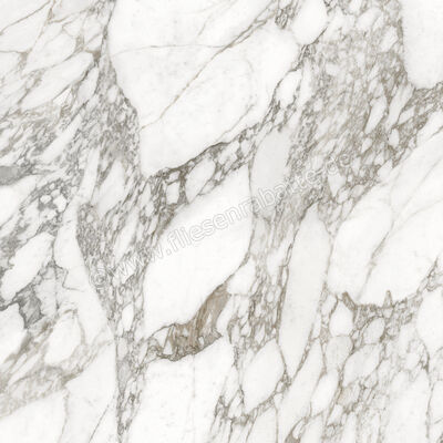  Ceramiche Caesar Marble Inspiration Anima Ever Luxury Arabesque 120x120 cm Bodenfliese / Wandfliese Glänzend Eben Lucidato AFBH CAE | 474926