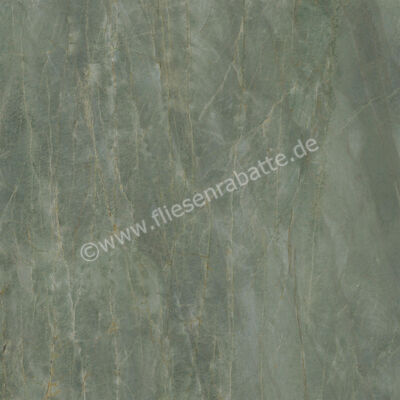  Ceramiche Caesar Marble Inspiration Anima Ever Sage Green 120x120 cm Bodenfliese / Wandfliese Glänzend Eben Lucidato AFBJ CAE | 474962