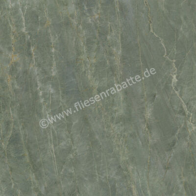 Ceramiche Caesar Anima Ever Sage Green 120x120 cm Bodenfliese / Wandfliese Glänzend Eben Lucidato AFBJ CAE | 474971