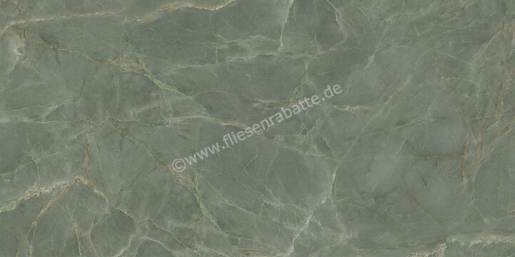  Ceramiche Caesar Marble Inspiration Anima Ever Sage Green 60x120 cm Bodenfliese / Wandfliese Glänzend Eben Lucidato AFBP CAE | 475007