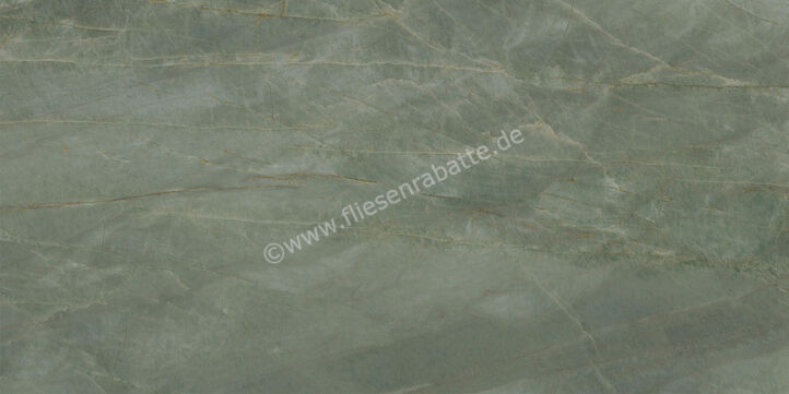  Ceramiche Caesar Marble Inspiration Anima Ever Sage Green 60x120 cm Bodenfliese / Wandfliese Glänzend Eben Lucidato AFBP CAE | 475013