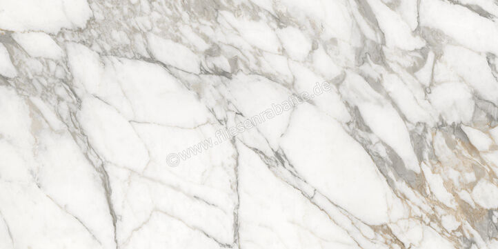  Ceramiche Caesar Marble Inspiration Anima Ever Luxury Arabesque 60x120 cm Bodenfliese / Wandfliese Glänzend Eben Lucidato AFBN CAE | 475055