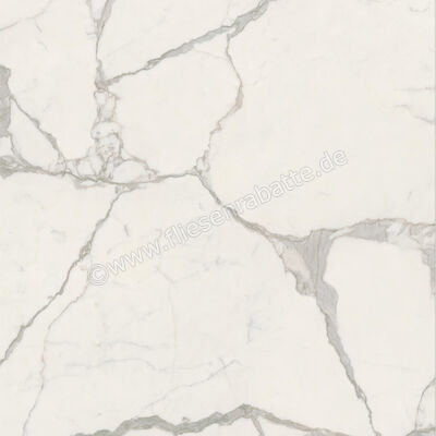  Ceramiche Caesar Marble Inspiration Anima Futura Majestic White 120x120 cm Bodenfliese / Wandfliese 3D Haptik Matt Eben Naturale AIAG CAE | 475265