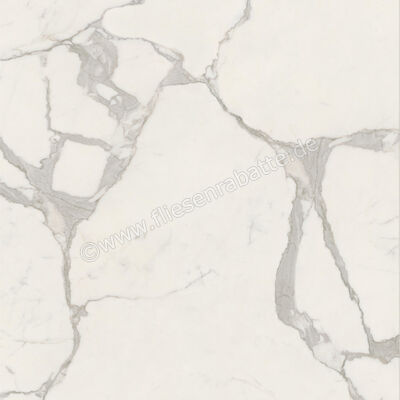  Ceramiche Caesar Marble Inspiration Anima Futura Majestic White 120x120 cm Bodenfliese / Wandfliese Glänzend Eben Lucidato AGCD CAE | 475268