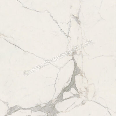  Ceramiche Caesar Marble Inspiration Anima Futura Majestic White 120x120 cm Bodenfliese / Wandfliese Glänzend Eben Lucidato AGCD CAE | 475274