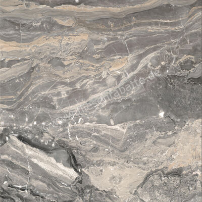  Ceramiche Caesar Marble Inspiration Anima Futura Keen Grey 120x120 cm Bodenfliese / Wandfliese Glänzend Eben Lucidato AGCG CAE | 475295