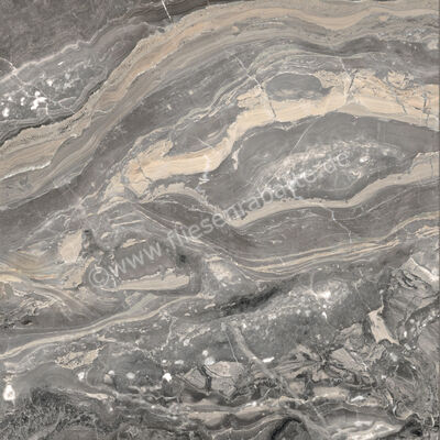  Ceramiche Caesar Marble Inspiration Anima Futura Keen Grey 120x120 cm Bodenfliese / Wandfliese Glänzend Eben Lucidato AGCG CAE | 475301