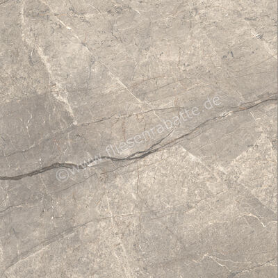  Ceramiche Caesar Marble Inspiration Anima Futura Amazing Silver 120x120 cm Bodenfliese / Wandfliese Glänzend Eben Lucidato AGCE CAE | 475352