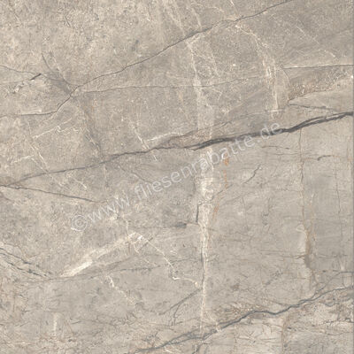  Ceramiche Caesar Marble Inspiration Anima Futura Amazing Silver 120x120 cm Bodenfliese / Wandfliese 3D Haptik Matt Eben Naturale AIAH CAE | 475355
