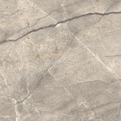  Ceramiche Caesar Marble Inspiration Anima Futura Amazing Silver 120x120 cm Bodenfliese / Wandfliese Glänzend Eben Lucidato AGCE CAE | 475358