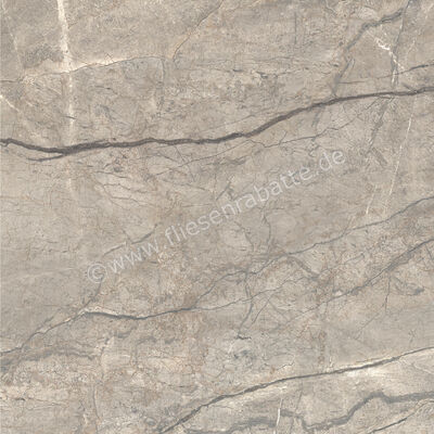  Ceramiche Caesar Marble Inspiration Anima Futura Amazing Silver 120x120 cm Bodenfliese / Wandfliese Glänzend Eben Lucidato AGCE CAE | 475361
