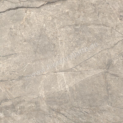  Ceramiche Caesar Marble Inspiration Anima Futura Amazing Silver 120x120 cm Bodenfliese / Wandfliese Glänzend Eben Lucidato AGCE CAE | 475364