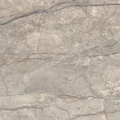  Ceramiche Caesar Marble Inspiration Anima Futura Amazing Silver 120x120 cm Bodenfliese / Wandfliese Glänzend Eben Lucidato AGCE CAE | 475367