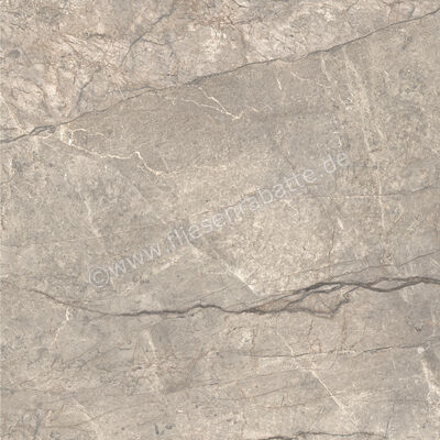  Ceramiche Caesar Marble Inspiration Anima Futura Amazing Silver 120x120 cm Bodenfliese / Wandfliese 3D Haptik Matt Eben Naturale AIAH CAE | 475370