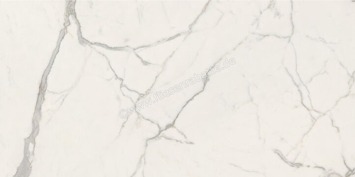  Ceramiche Caesar Marble Inspiration Anima Futura Majestic White 60x120 cm Bodenfliese / Wandfliese Glänzend Eben Lucidato AGB5 CAE | 475448