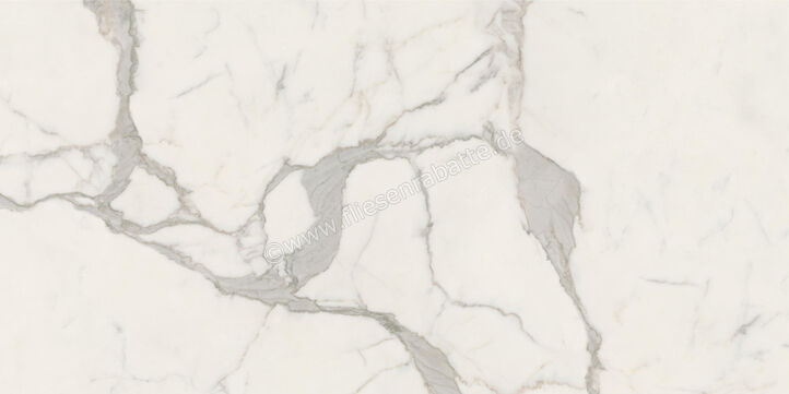  Ceramiche Caesar Marble Inspiration Anima Futura Majestic White 60x120 cm Bodenfliese / Wandfliese Glänzend Eben Lucidato AGB5 CAE | 475460