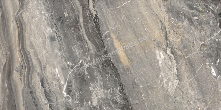  Ceramiche Caesar Marble Inspiration Anima Futura Keen Grey 60x120 cm Bodenfliese / Wandfliese Glänzend Eben Lucidato AGB8 CAE | 475472