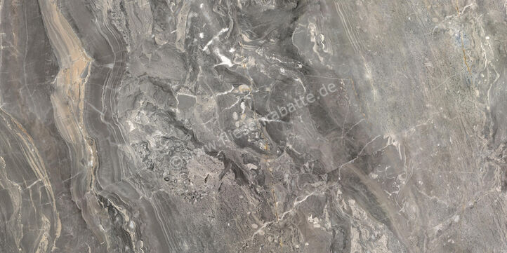  Ceramiche Caesar Marble Inspiration Anima Futura Keen Grey 60x120 cm Bodenfliese / Wandfliese Glänzend Eben Lucidato AGB8 CAE | 475475
