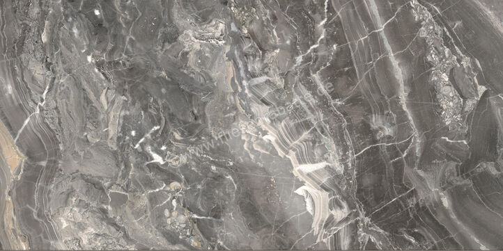  Ceramiche Caesar Marble Inspiration Anima Futura Keen Grey 60x120 cm Bodenfliese / Wandfliese Glänzend Eben Lucidato AGB8 CAE | 475487