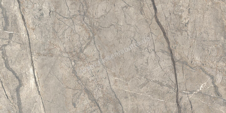  Ceramiche Caesar Marble Inspiration Anima Futura Amazing Silver 60x120 cm Bodenfliese / Wandfliese Glänzend Eben Lucidato AGB6 CAE | 475520