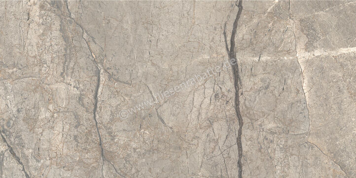  Ceramiche Caesar Marble Inspiration Anima Futura Amazing Silver 60x120 cm Bodenfliese / Wandfliese Glänzend Eben Lucidato AGB6 CAE | 475523