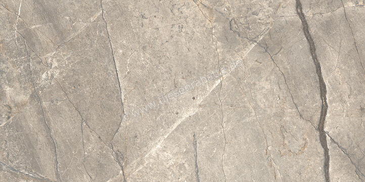  Ceramiche Caesar Marble Inspiration Anima Futura Amazing Silver 60x120 cm Bodenfliese / Wandfliese Glänzend Eben Lucidato AGB6 CAE | 475526