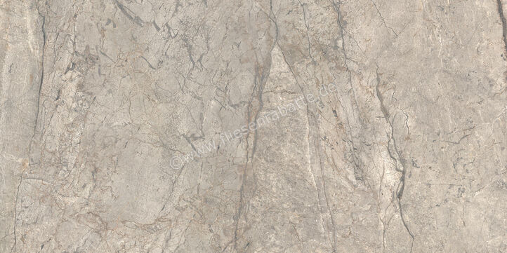  Ceramiche Caesar Marble Inspiration Anima Futura Amazing Silver 60x120 cm Bodenfliese / Wandfliese Glänzend Eben Lucidato AGB6 CAE | 475532