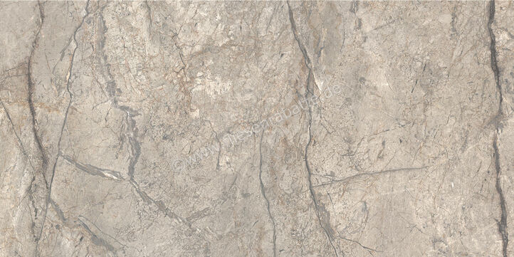  Ceramiche Caesar Marble Inspiration Anima Futura Amazing Silver 60x120 cm Bodenfliese / Wandfliese Glänzend Eben Lucidato AGB6 CAE | 475535