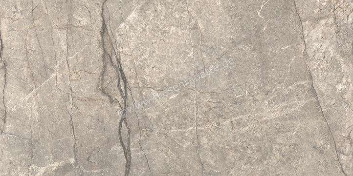  Ceramiche Caesar Marble Inspiration Anima Futura Amazing Silver 60x120 cm Bodenfliese / Wandfliese Glänzend Eben Lucidato AGB6 CAE | 475538