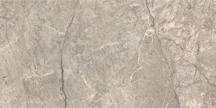 Ceramiche Caesar Marble Inspiration Anima Futura Amazing Silver 60x120 cm Bodenfliese / Wandfliese Glänzend Eben Lucidato AGB6 CAE | 475541