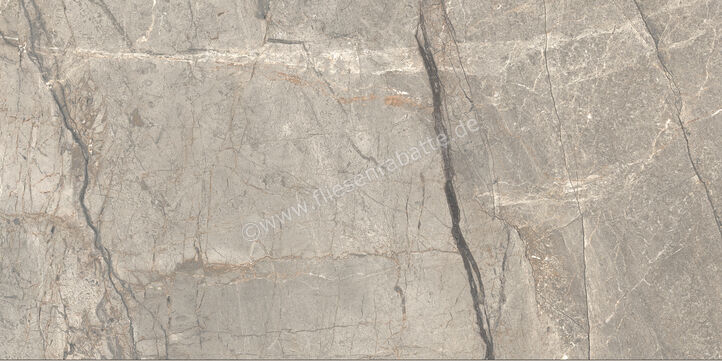  Ceramiche Caesar Marble Inspiration Anima Futura Amazing Silver 60x120 cm Bodenfliese / Wandfliese 3D Haptik Matt Eben Touch Plus AIAV CAE | 475772