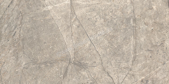  Ceramiche Caesar Marble Inspiration Anima Futura Amazing Silver 60x120 cm Bodenfliese / Wandfliese 3D Haptik Matt Eben Touch Plus AIAV CAE | 475778