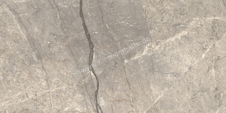  Ceramiche Caesar Marble Inspiration Anima Futura Amazing Silver 60x120 cm Bodenfliese / Wandfliese 3D Haptik Matt Eben Touch Plus AIAV CAE | 475781